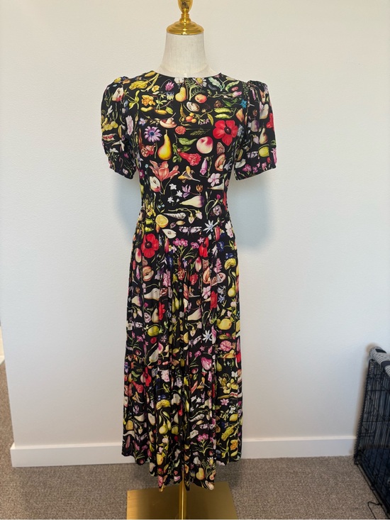 Samantha Pleet Dresses & Skirts - Samantha Pleet Black Maxi Dress with Bright Floral & Fruit Print